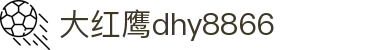 大红鹰dhy8866(中国)股份有限公司